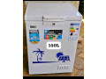 frigo-small-0