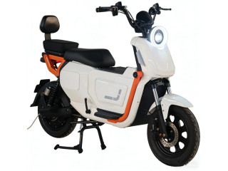 Vend des vélos électriques et les pièces détachées à bon prix