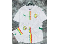 maillot-disponible-small-2