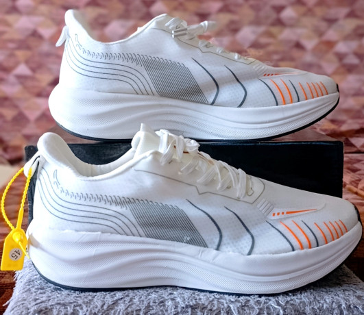 nous-mettons-a-votre-disposition-des-chaussures-baskets-et-tennis-de-36-a46-big-1