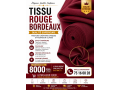 faites-moi-confiance-small-1