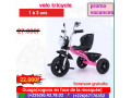 tricycle-small-2