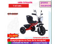 tricycle-small-0