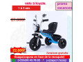 tricycle-small-1