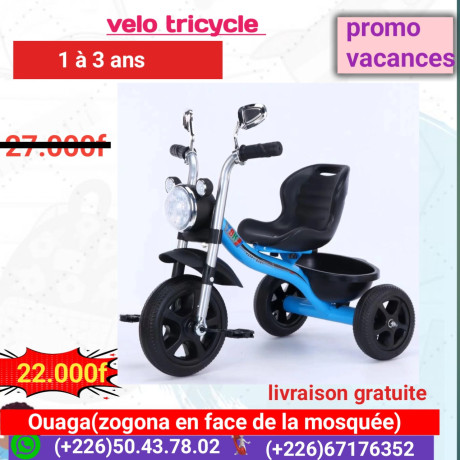 tricycle-big-1