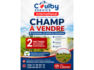 Hectare à vente toussiana