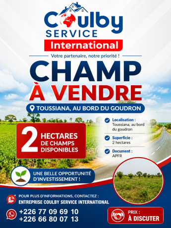 hectare-a-vente-toussiana-big-0