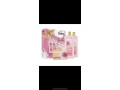 les-gammes-de-gel-de-douche-small-2