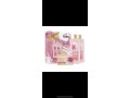 les-gammes-de-gel-de-douche-small-1