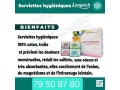 serviettes-hygienique-small-1