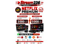 abonnement-netflix-premium-burkina-faso-small-2