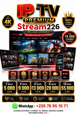 abonnement-netflix-premium-burkina-faso-big-1