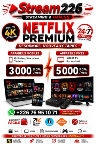 abonnement-netflix-premium-big-0