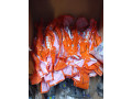 vente-de-pieces-detachees-pour-moto-small-1