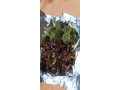 vente-de-mets-locaux-africains-et-autres-babenda-gonre-gnon-small-2