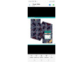 vente-des-pagne-wax-colore-small-3
