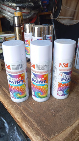 spray-paint-peinture-aerosol-pour-renovation-de-peinture-big-3