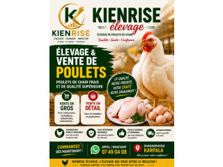 Passer vos commandes il ne reste que peu