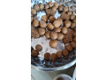 savon-de-bonne-qualite-small-0
