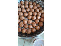 savon-de-bonne-qualite-small-1
