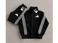 polo-original-small-1