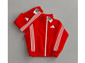 polo-original-small-4
