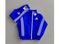 polo-original-small-2