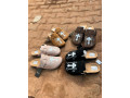 habits-chaussures-maillots-small-4