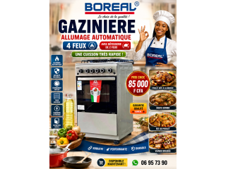 Gaziniere
