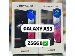 Samsung galaxy A53 256go