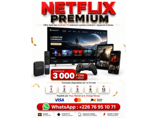 Abonnement Netflix Premium