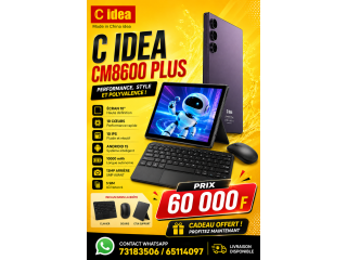 C.IDEA
