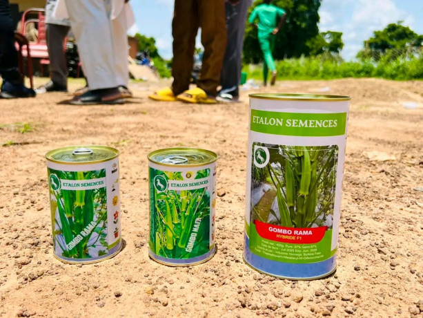 gombo-rama-f1-big-1