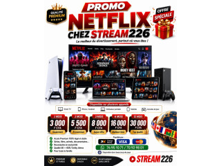 Abonnement Netflix Premium