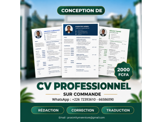 CV Professionnel Optimisé