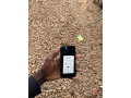 13-simple-128-giga-san-infos-prix-sap-sap-small-1