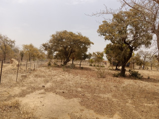 TERRAIN DUNE SUPERFICIE D'UN HECTARE M² EN VENTE A PABRE