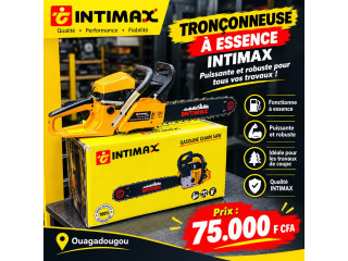 Tronçonneuse
