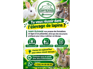 Élevage de lapin