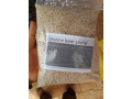 poudre-de-feuilles-de-baobab-small-3