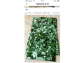 koko-donda-shop-small-2