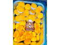 nous-disposons-de-mini-fours-viennoiseriespatisseriecuisine-africaine-et-europeenne-a-moindre-cout-small-1