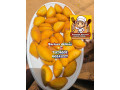 nous-disposons-de-mini-fours-viennoiseriespatisseriecuisine-africaine-et-europeenne-a-moindre-cout-small-2