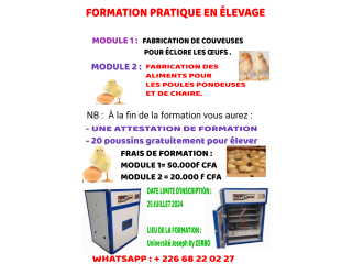FORMATION PRATIQUE EN ÉLEVAGE DES POULES