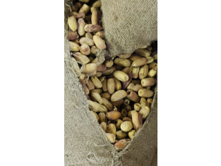 Vende des Dâtte de très bonne qualité