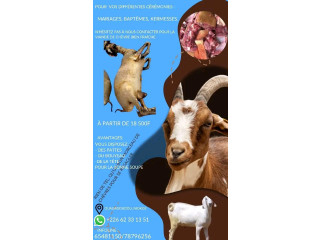 Viandes de chèvre arranger avec la peau