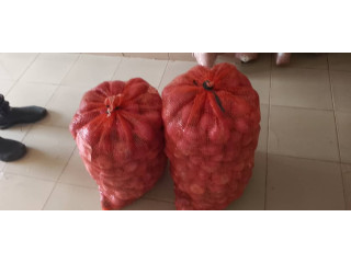 Oignon écologique qualité supérieure