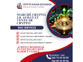 achat-et-vente-de-crypto-monnaie-et-dollars-usdt-et-perfect-money-small-0