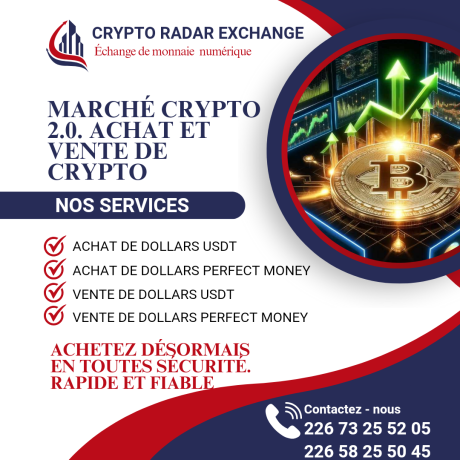 achat-et-vente-de-crypto-monnaie-et-dollars-usdt-et-perfect-money-big-0