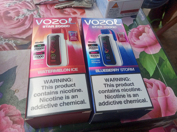 vozol-big-1